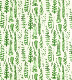 Ferns Fabric by Scion Juniper Ferns Fabric by Scion Juniper