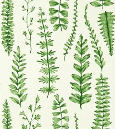Ferns Wallpaper by Scion Juniper Ferns Wallpaper by Scion Juniper