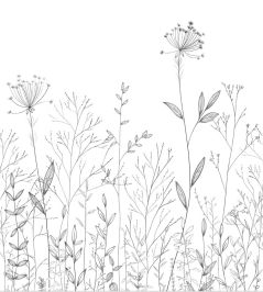 Field Line Mural by Caselio Noir et blanc Field Line Mural by Caselio Noir et blanc
