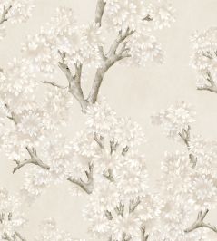 Field Maple Wallpaper by Coordonne Bone Field Maple Wallpaper by Coordonne Bone