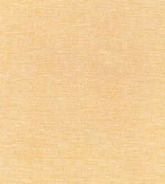 Finley Fabric by Thibaut Daisy Finley Fabric by Thibaut Daisy