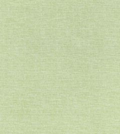 Finley Fabric by Thibaut Willow Finley Fabric by Thibaut Willow
