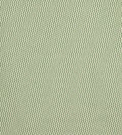 Finsbury Fabric by Prestigious Textiles Kiwi Finsbury Fabric by Prestigious Textiles Kiwi