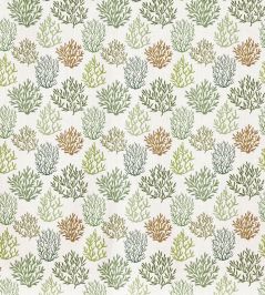 Fistral Fabric by Prestigious Textiles Sea Weed Fistral Fabric by Prestigious Textiles Sea Weed