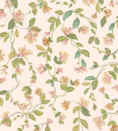 Flora Wallpaper by Cole & Son Tangerine & Olive on Blush Flora Wallpaper by Cole & Son Tangerine & Olive on Blush