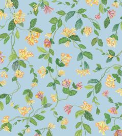 Flora Wallpaper by Cole & Son Buttercup Yellow on Cornflower Blue Flora Wallpaper by Cole & Son Buttercup Yellow on Cornflower Blue
