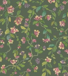 Flora Wallpaper by Cole & Son Fuchsia on Racing Green Flora Wallpaper by Cole & Son Fuchsia on Racing Green
