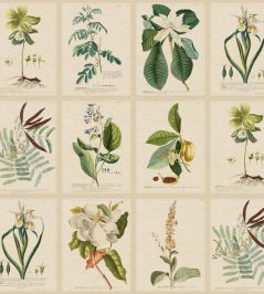 Flora Wallpaper by Sandberg Green Flora Wallpaper by Sandberg Green