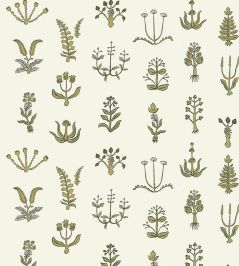 Floral Spot Wallpaper by Josephine Munsey Chaingate Green/Meadow Floral Spot Wallpaper by Josephine Munsey Chaingate Green/Meadow