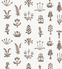 Floral Spot Wallpaper by Josephine Munsey Ham Pink/Chimney Floral Spot Wallpaper by Josephine Munsey Ham Pink/Chimney