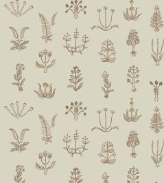 Floral Spot Wallpaper by Josephine Munsey Kemp Brown/Cromwel Stone Floral Spot Wallpaper by Josephine Munsey Kemp Brown/Cromwel Stone