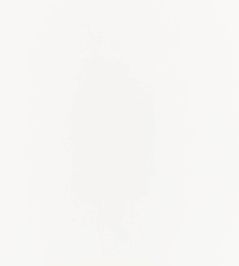 Florence Fabric by Villa Nova White Florence Fabric by Villa Nova White