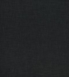 Florenzo Fabric by Ashley Wilde Charcoal Florenzo Fabric by Ashley Wilde Charcoal