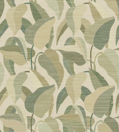 Flores Wallpaper by Jannelli&Volpi Grass Flores Wallpaper by Jannelli&Volpi Grass