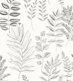 Florium Wallpaper by Caselio Noir Blanc Florium Wallpaper by Caselio Noir Blanc