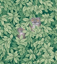 Foglie e Civette Wallpaper by Cole & Son Forest Green Foglie e Civette Wallpaper by Cole & Son Forest Green