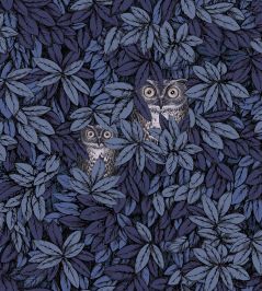 Foglie e Civette Wallpaper by Cole & Son Midnight Foglie e Civette Wallpaper by Cole & Son Midnight