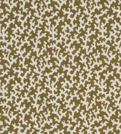 Folly Fabric by Schumacher Olive Folly Fabric by Schumacher Olive