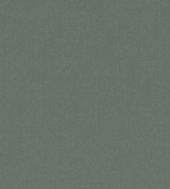 Forenza Fabric by Romo Agave Forenza Fabric by Romo Agave
