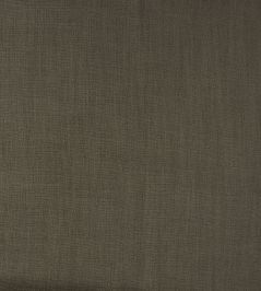 Forum Fabric by Lizzo Brown Forum Fabric by Lizzo Brown