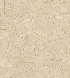 Fragment Wallpaper by Arte Ginseng Fragment Wallpaper by Arte Ginseng