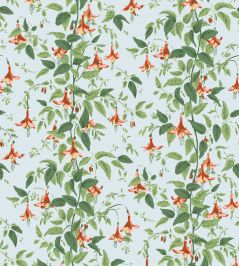 Fuchsia Wallpaper by Cole & Son Coral & Leaf Green on Powder Blue Fuchsia Wallpaper by Cole & Son Coral & Leaf Green on Powder Blue