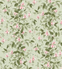 Fuchsia Wallpaper by Cole & Son Powder Pink & Olive on Soft Spring Green Fuchsia Wallpaper by Cole & Son Powder Pink & Olive on Soft Spring Green
