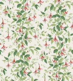 Fuchsia Wallpaper by Cole & Son Rose Pink & Soft Green on Parchment Fuchsia Wallpaper by Cole & Son Rose Pink & Soft Green on Parchment