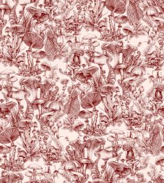 Fungi Forest Wallpaper by Cole & Son Burgundy Fungi Forest Wallpaper by Cole & Son Burgundy