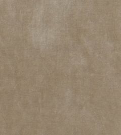 Gabrielle Fabric by Nina Campbell Oyster Gabrielle Fabric by Nina Campbell Oyster