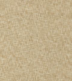 Gaia Fabric by Clarke & Clarke Antique Gaia Fabric by Clarke & Clarke Antique