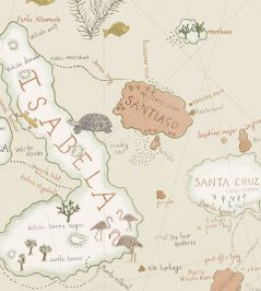 Galapagos Wallpaper by Sanderson Parchment Galapagos Wallpaper by Sanderson Parchment