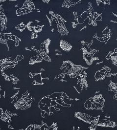 Galileo Fabric by Casal Nuit Galileo Fabric by Casal Nuit
