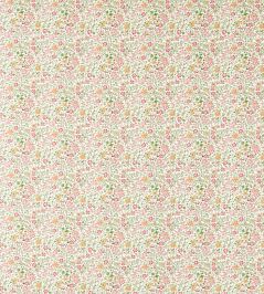 Gamthi Fabric by Clarke & Clarke Sage/Blush Gamthi Fabric by Clarke & Clarke Sage/Blush