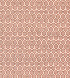 Genie Fabric by Thibaut Terracotta Genie Fabric by Thibaut Terracotta