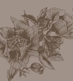 Giant Peonies Mural by Coordonne Cacao Giant Peonies Mural by Coordonne Cacao