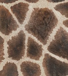 Giraffe Fabric by Arley House Coffee Giraffe Fabric by Arley House Coffee