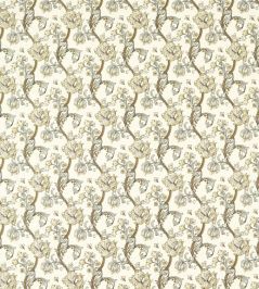 Golden Lily Embroidery Fabric by Clarke & Clarke Dove Golden Lily Embroidery Fabric by Clarke & Clarke Dove