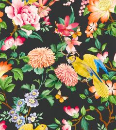 Golden Parrot Wallpaper by Clarke & Clarke Noir Golden Parrot Wallpaper by Clarke & Clarke Noir