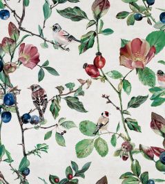 Goldfinch Song Wallpaper by Coordonne Cotton Goldfinch Song Wallpaper by Coordonne Cotton