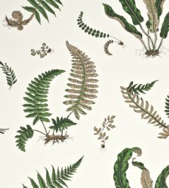 Ferns Wallpaper by GP & J Baker Original Green Ferns Wallpaper by GP & J Baker Original Green