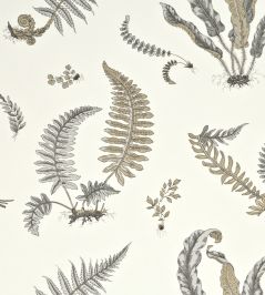 Ferns Wallpaper by GP & J Baker Dove Grey/Silver Ferns Wallpaper by GP & J Baker Dove Grey/Silver