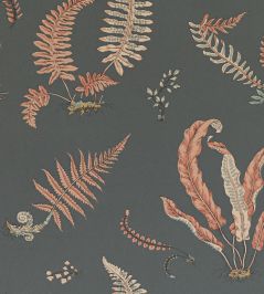 Ferns Wallpaper by GP & J Baker Coral/Charcoal Ferns Wallpaper by GP & J Baker Coral/Charcoal