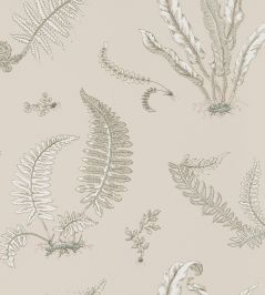 Ferns Wallpaper by GP & J Baker Linen Ferns Wallpaper by GP & J Baker Linen