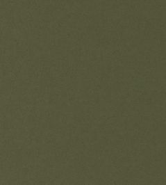 Granada Fabric by Wemyss Ivy Granada Fabric by Wemyss Ivy