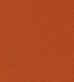 Granada Fabric by Wemyss Paprika Granada Fabric by Wemyss Paprika