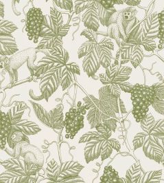 Grape Thief Wallpaper by Langelid Von Bromssen Chablis Grape Thief Wallpaper by Langelid Von Bromssen Chablis