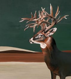 Great Deer Mural by Coordonne Green Great Deer Mural by Coordonne Green