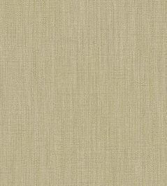 Groove Wallpaper by Eijffinger Beige/Green Groove Wallpaper by Eijffinger Beige/Green
