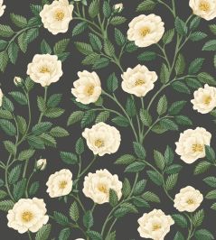 Hampton Roses Wallpaper by Cole & Son Cream Forest Hampton Roses Wallpaper by Cole & Son Cream Forest